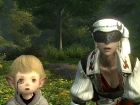 Final Fantasy XIV (PC - PS3)