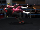 Lucha Libre