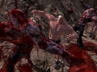 Splatterhouse (PS3 - Xbox 360)