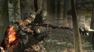 the-elder-scrolls-v-skyrim-orc2