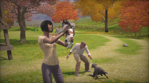 ts3pets_console_launch