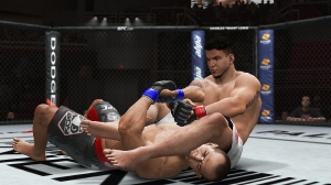 frank_mir